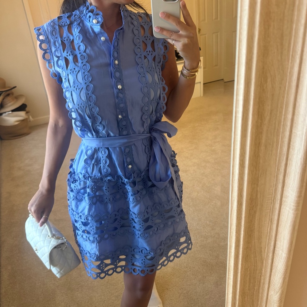 Miss Rosier Blue embroidered pearl dress - Picture 4 of 10